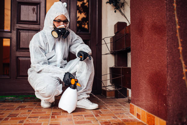 Reliable Cockroach Control contractor in Fredericksburg, VA by Nex Pest Control
