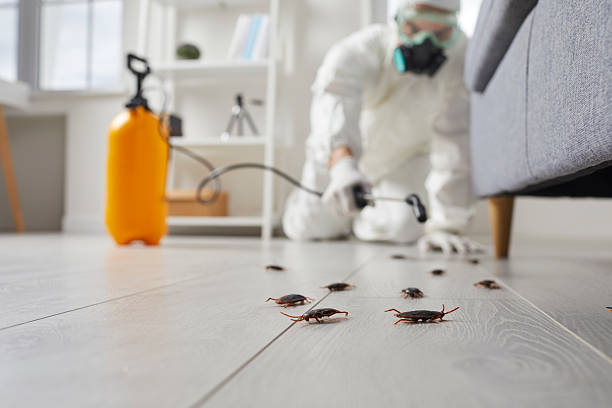Trusted Fumigation Services service in Fredericksburg, VA - Nex Pest Control