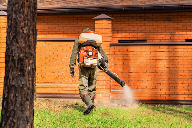 Trusted Cockroach Control service in Fredericksburg, VA - Nex Pest Control